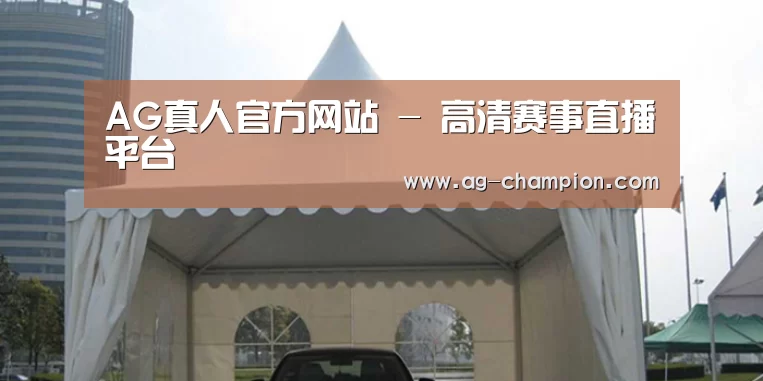 案例标题八(图1)