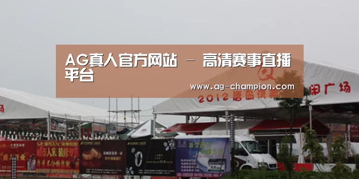案例标题十